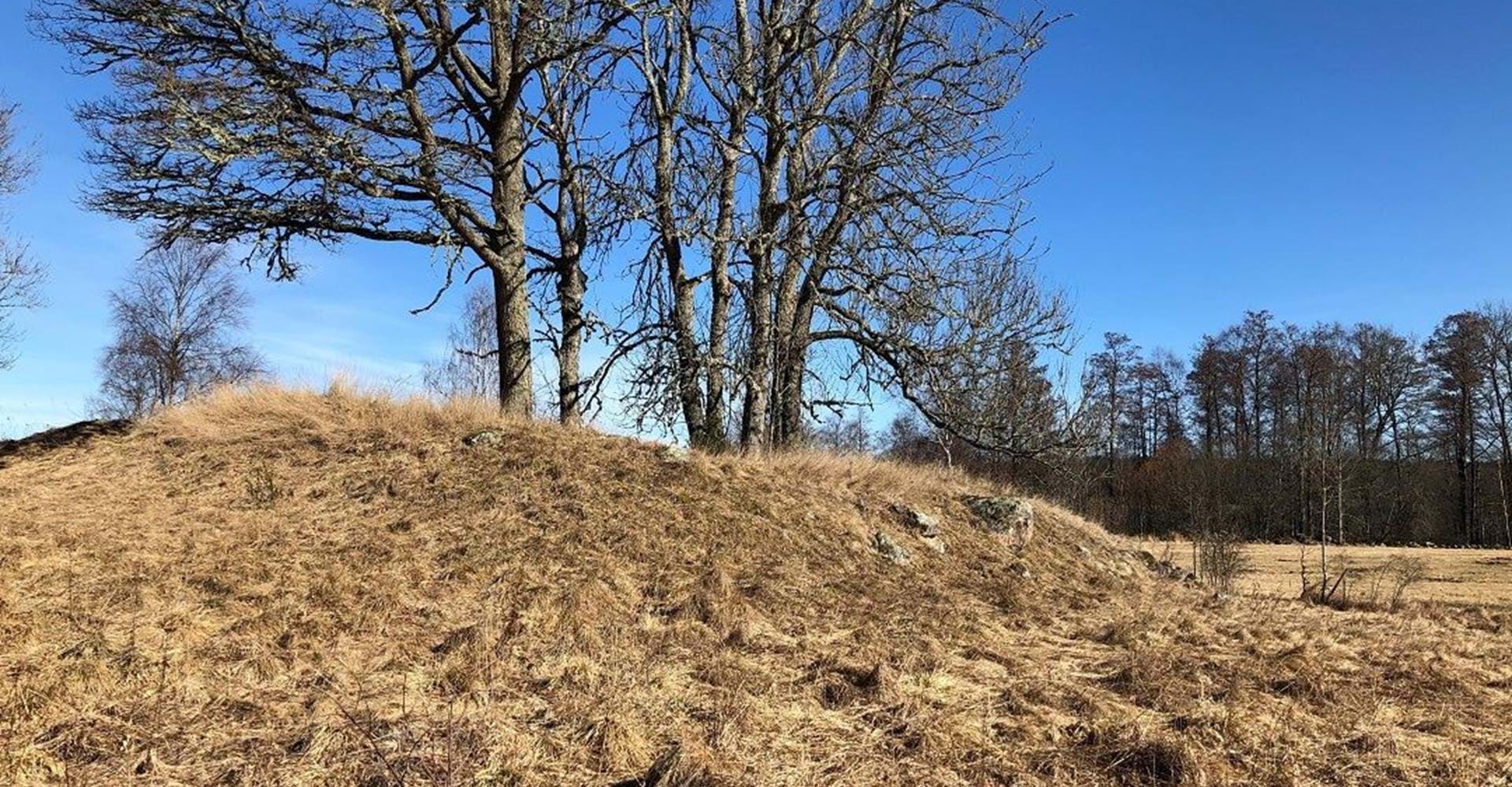 Mosseboborg borgruin
Etapp: Boxholm-Trehörna
Boxholm