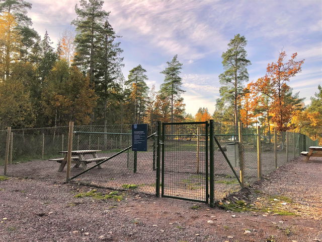 Hundrastgård i Lindsdal
