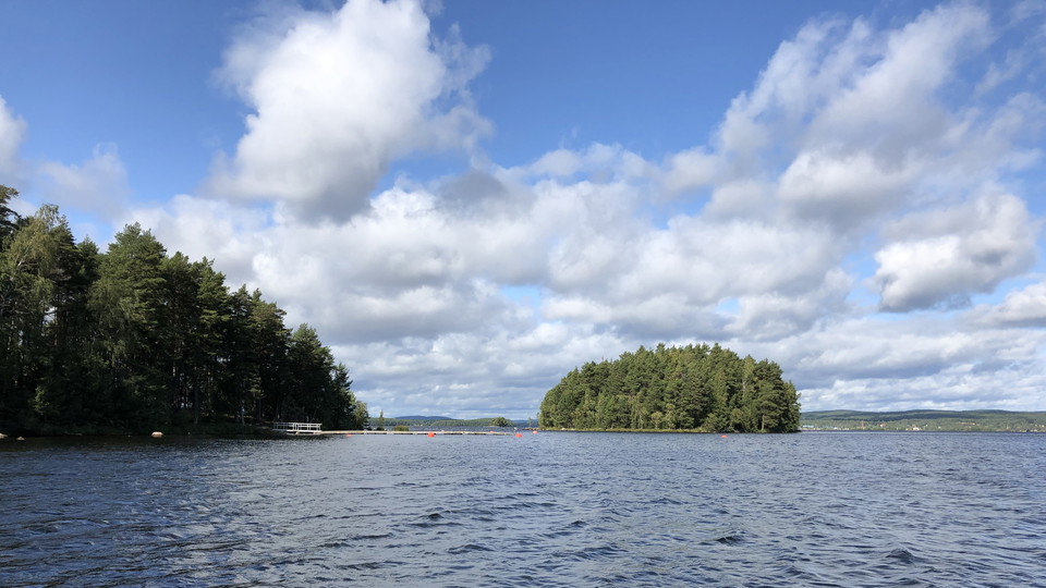 Björnungarna