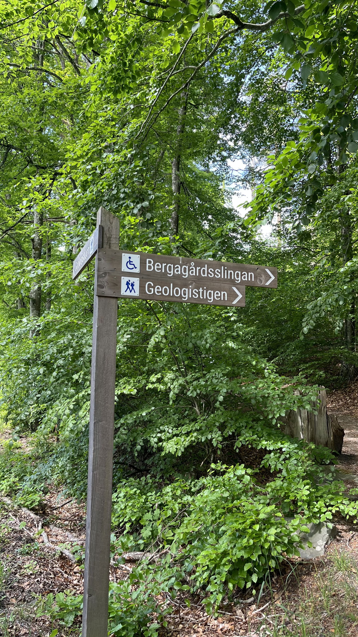 Bild: Sveaskog