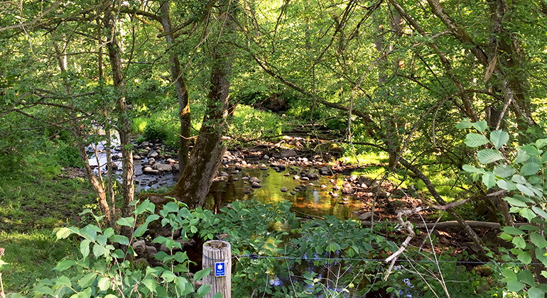 Råby Hällor, Naturreservat — Naturkartan