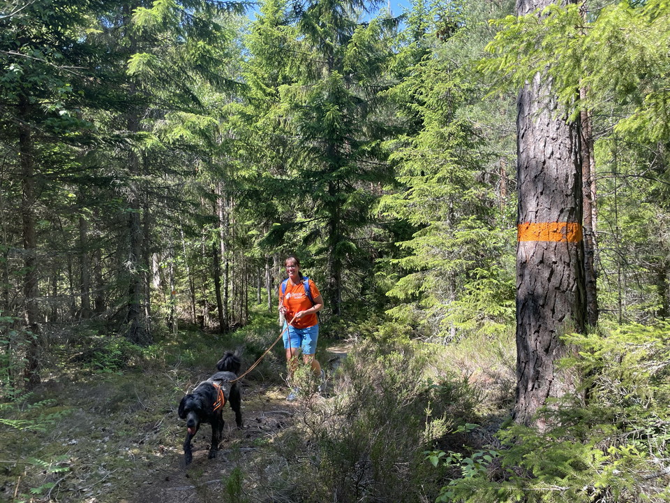 Åttan - Sörsjön Kolmården 14 km