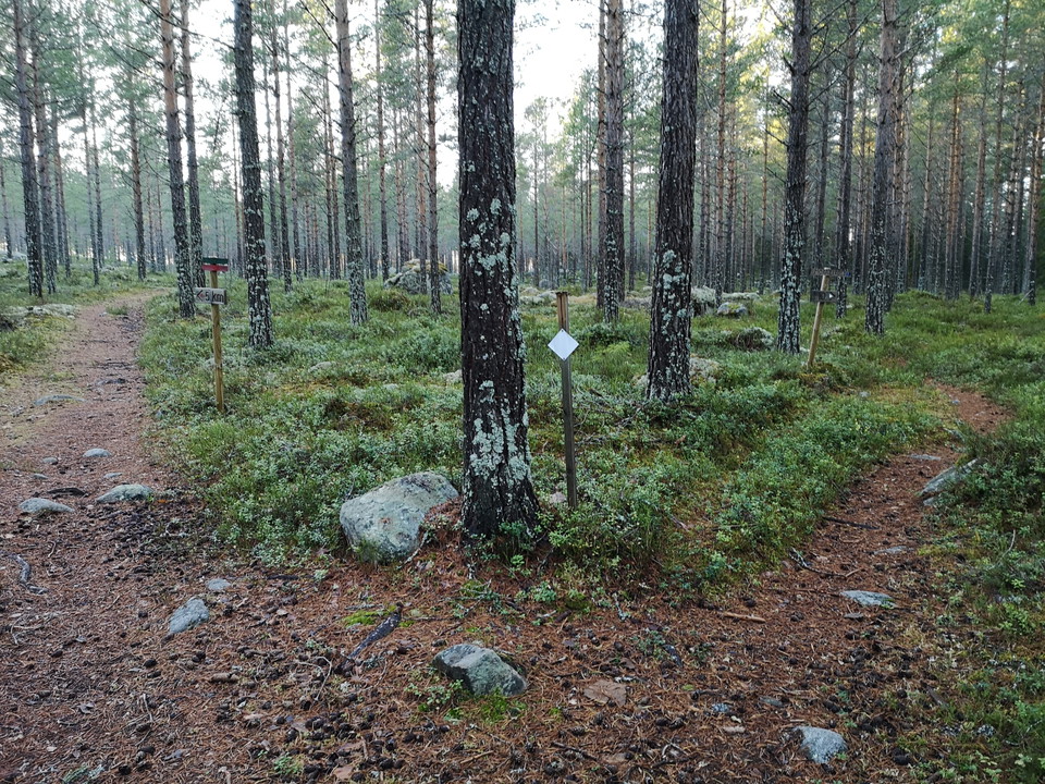 Ta till höger som 10 km
