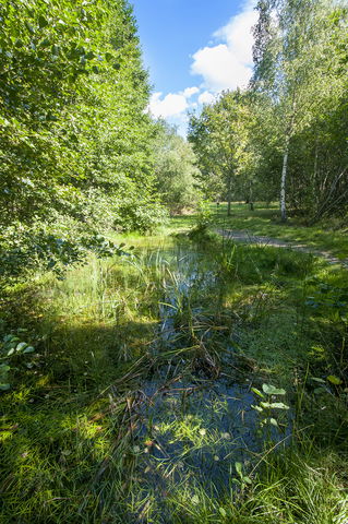 Ormkärrsdammen i Hagsätraskogen