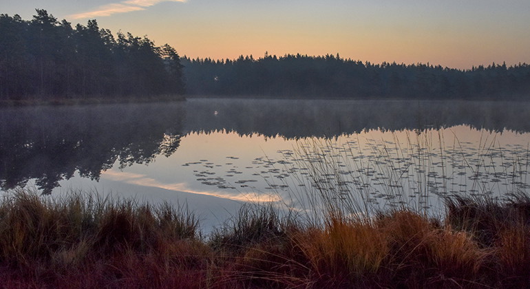 Lessebo