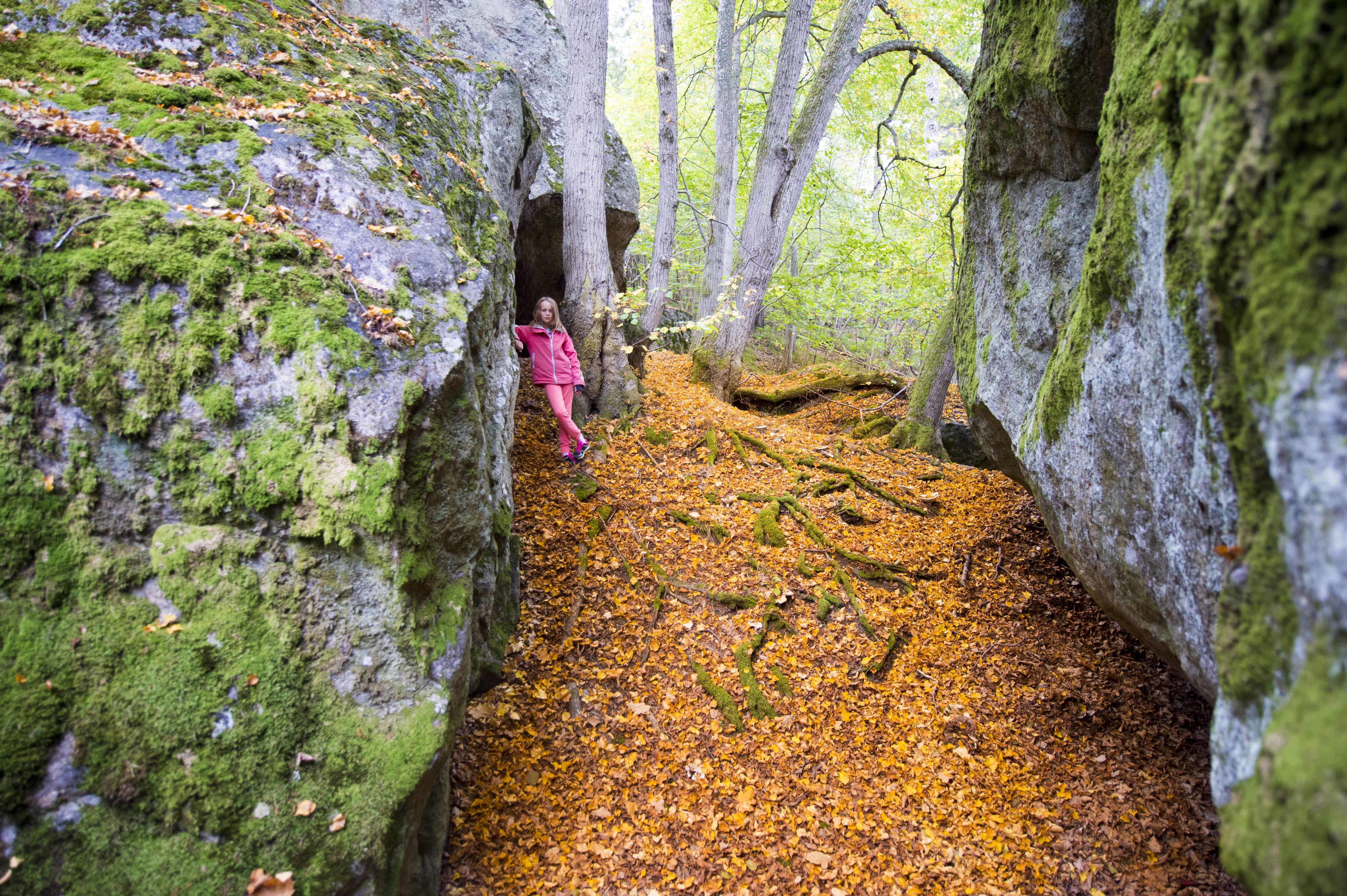 Mäktiga block kännetecknar naturreservatet och skapar dramatik.