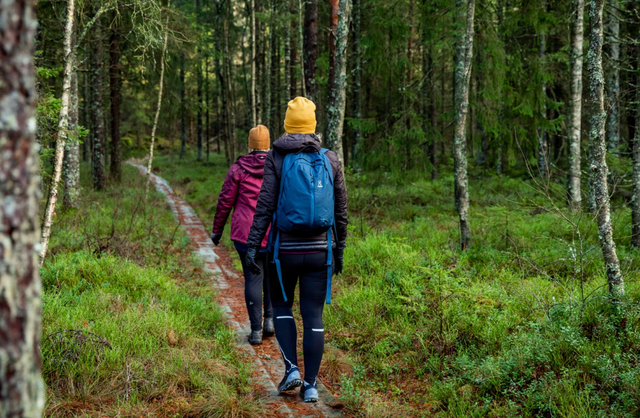 Den Hallandsleden wandern