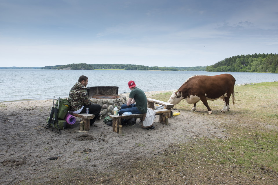 Eldplatsen ligger vid reservatets södra strand.