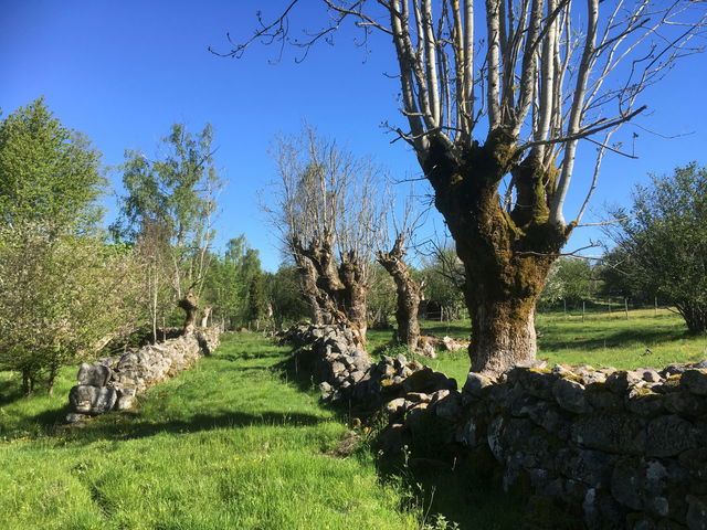 Mörrumsån Angölsmåla, Naturreservat