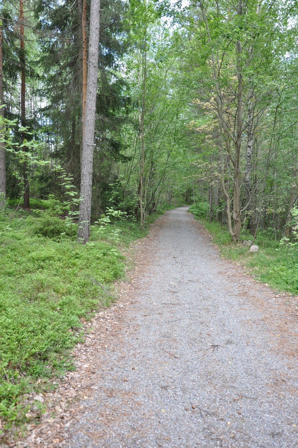 Starten vid Busviken, Älvnäs