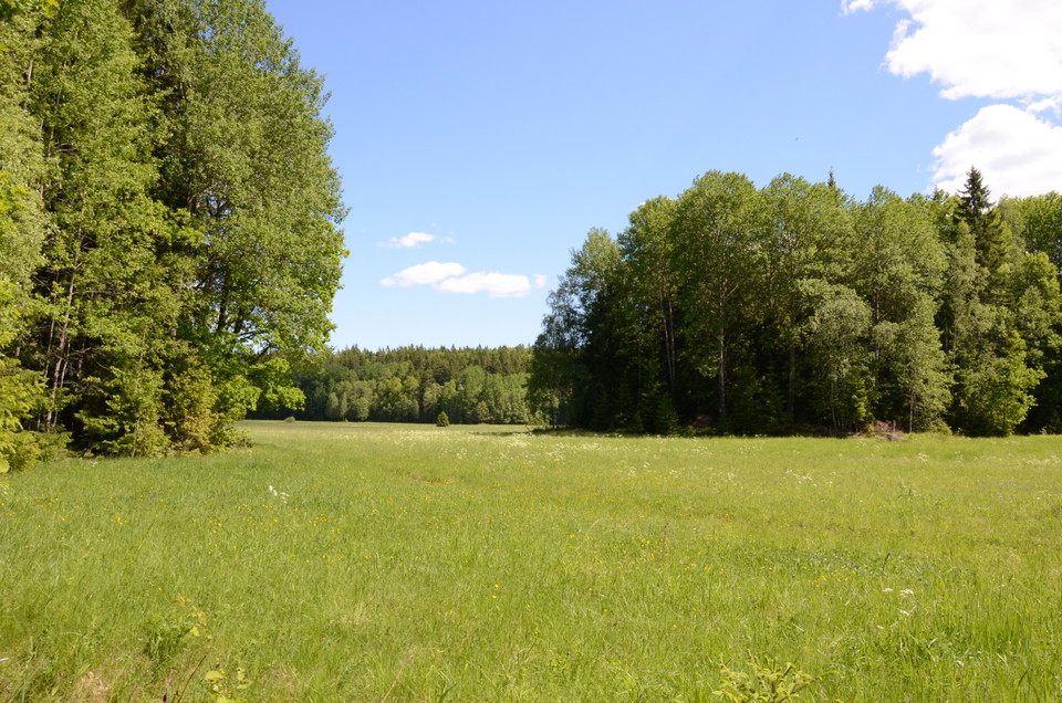 Österby naturreservat