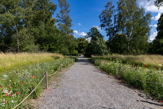 Anna Whitlocks park