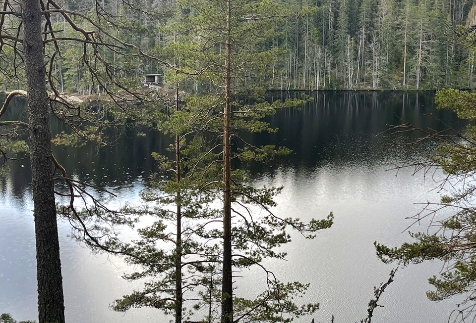 Utsikt över en sjö. På andra sidan syns ett vindskydd.