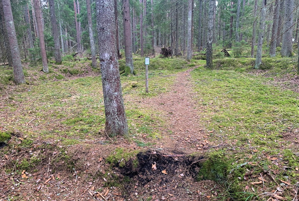 Kolbottnar vittnar om gamla tiders kolmilor. 