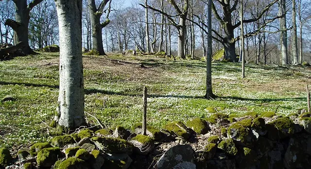 Skärva, Naturreservat