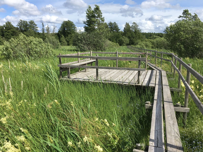 Bänkar längs spången in mot samhället.