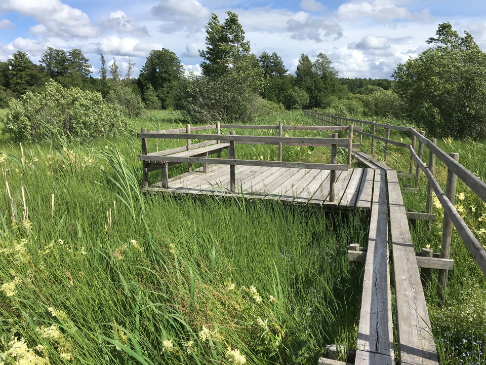 Bänkar längs spången in mot samhället.