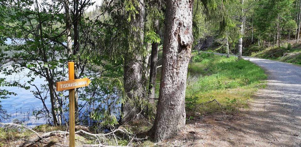 Vägvisare vid en sjö