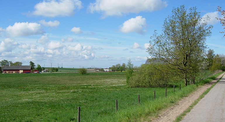 Maskängen ligger utmed infarten till Kungsmarken.