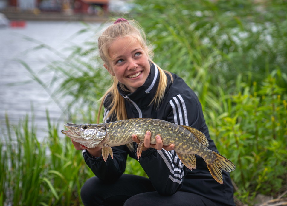 Gäddan är en riktig rovfisk som ofta hugger hårt