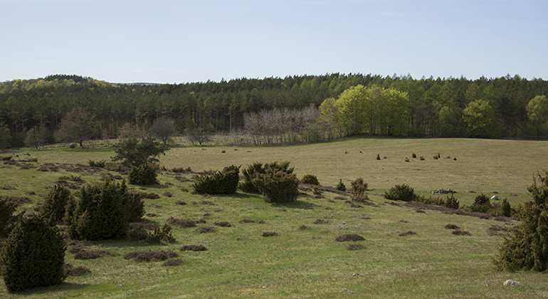 Vy över landskapet.