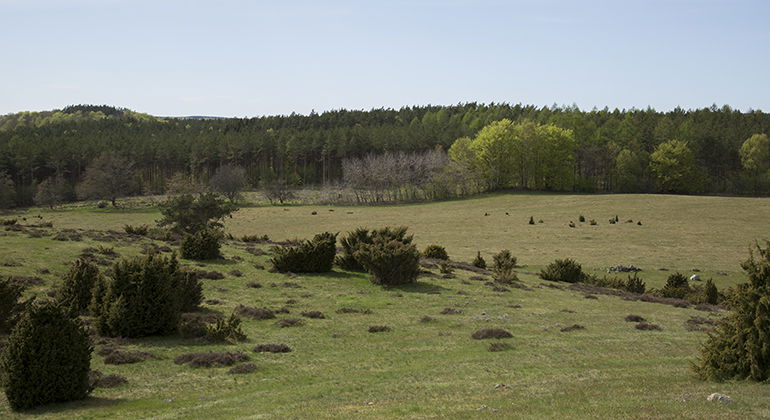Vy över landskapet.