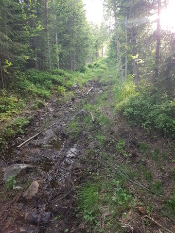 Ottsjön-Orrvinberget