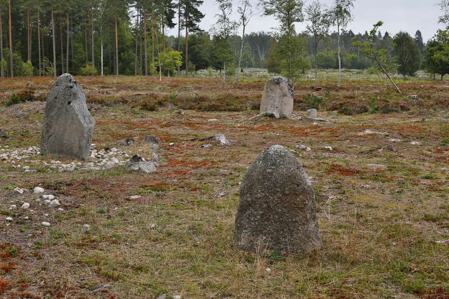 Bild: Sveaskog