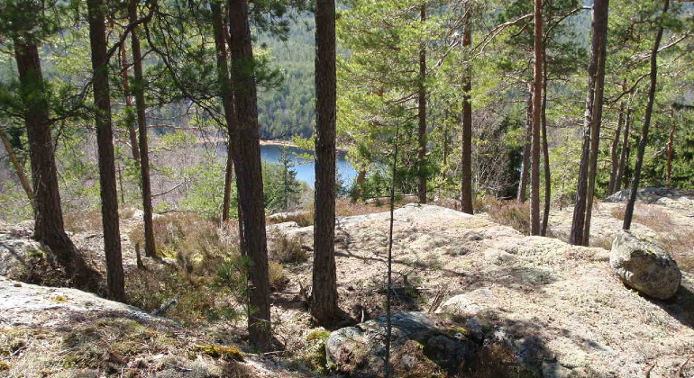 Reservatet bjuder på vacker utsikt.