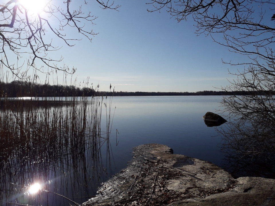 Stenhäll vid sjökanten