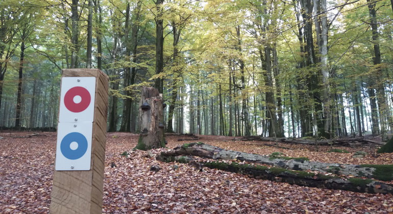 markeringen för röd och blå led