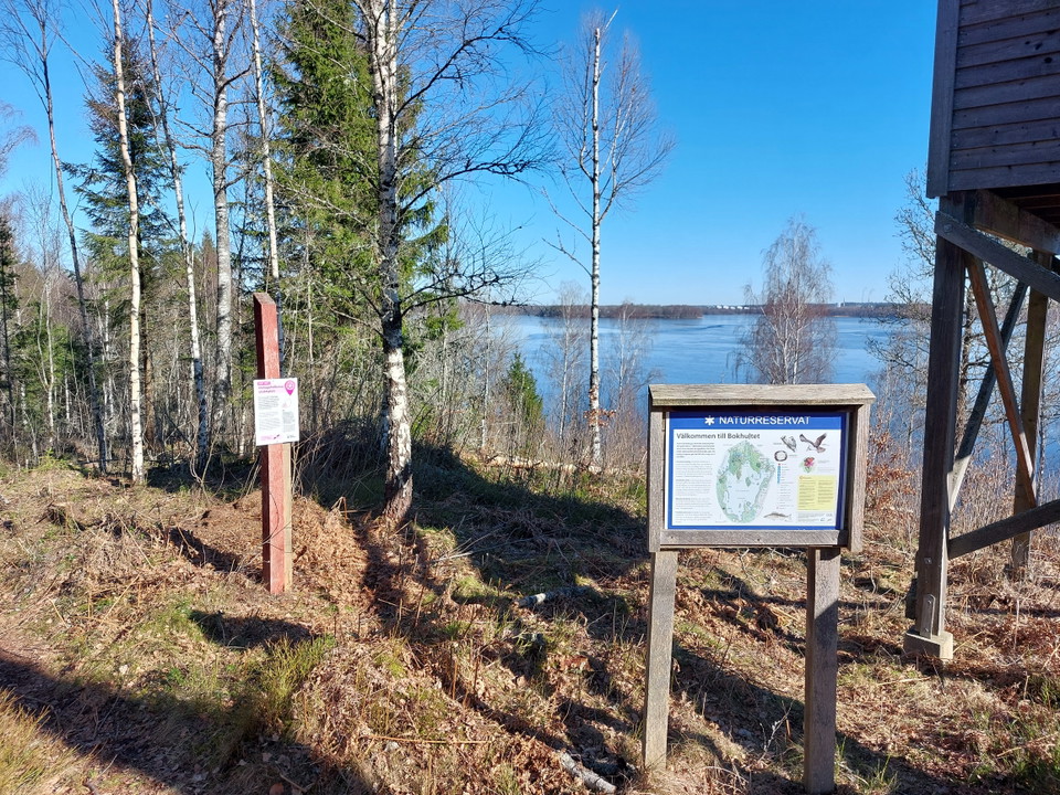 Stig för skogsbad