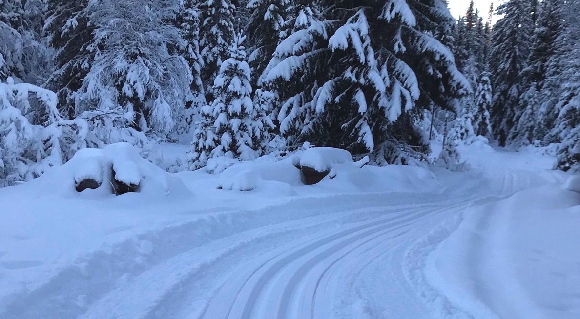 Nydraget skidspår