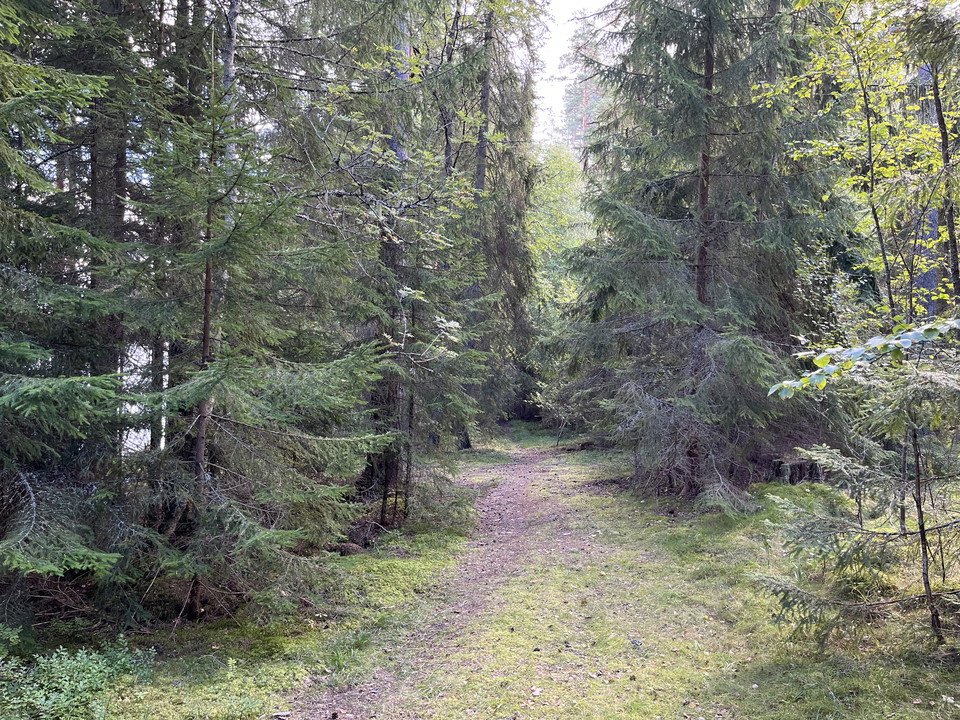 Ålsjögruvan strövområde