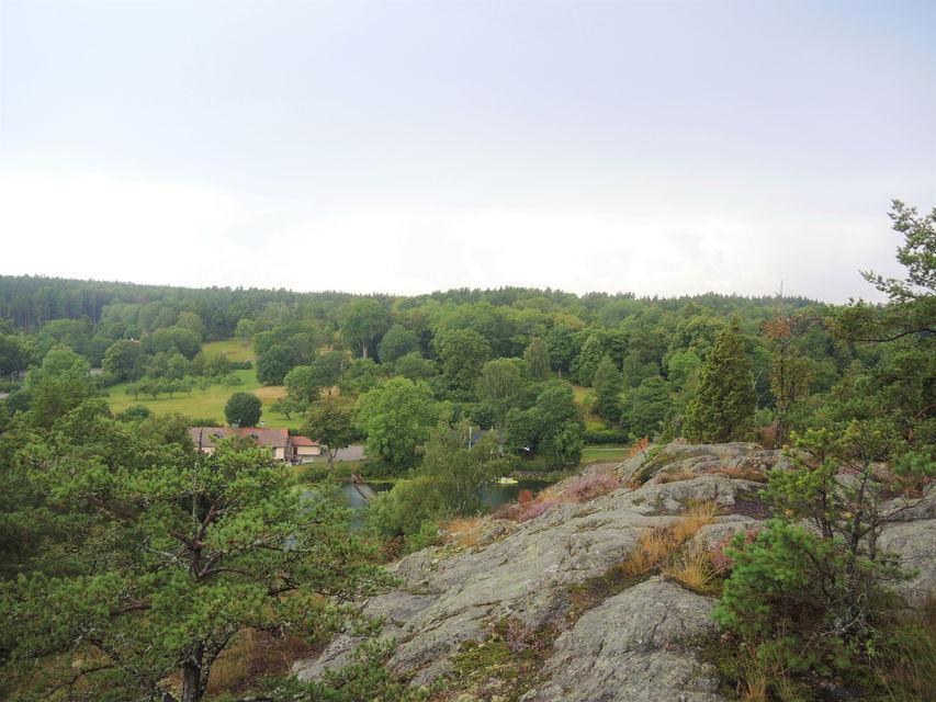 Foto: Sandra Ermalm