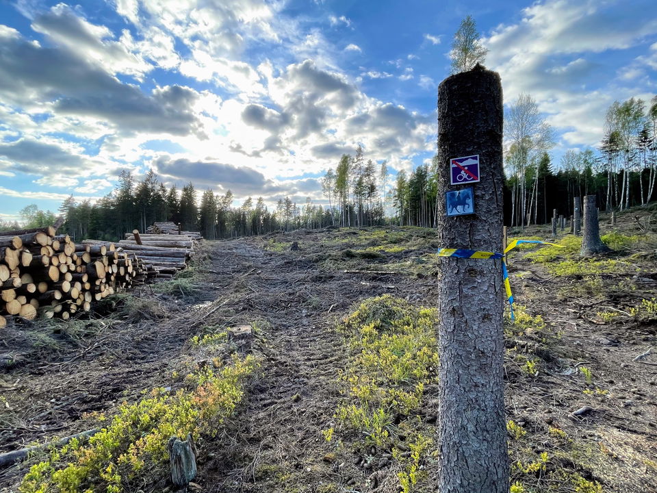 Här är det fint att vandra och rida... NOT SO MUCH!…