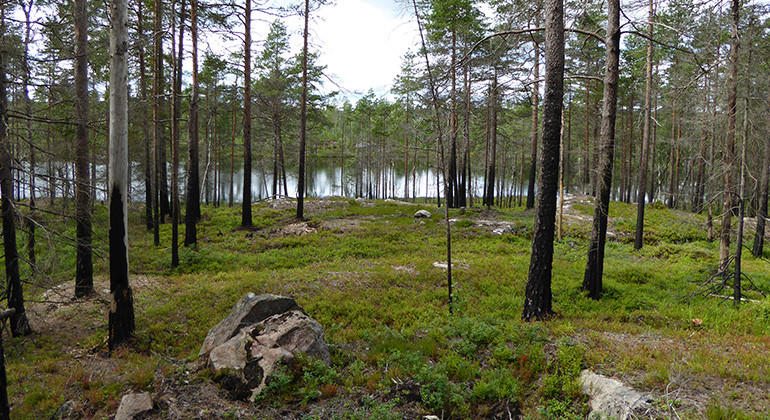 Brännan, Naturreservat