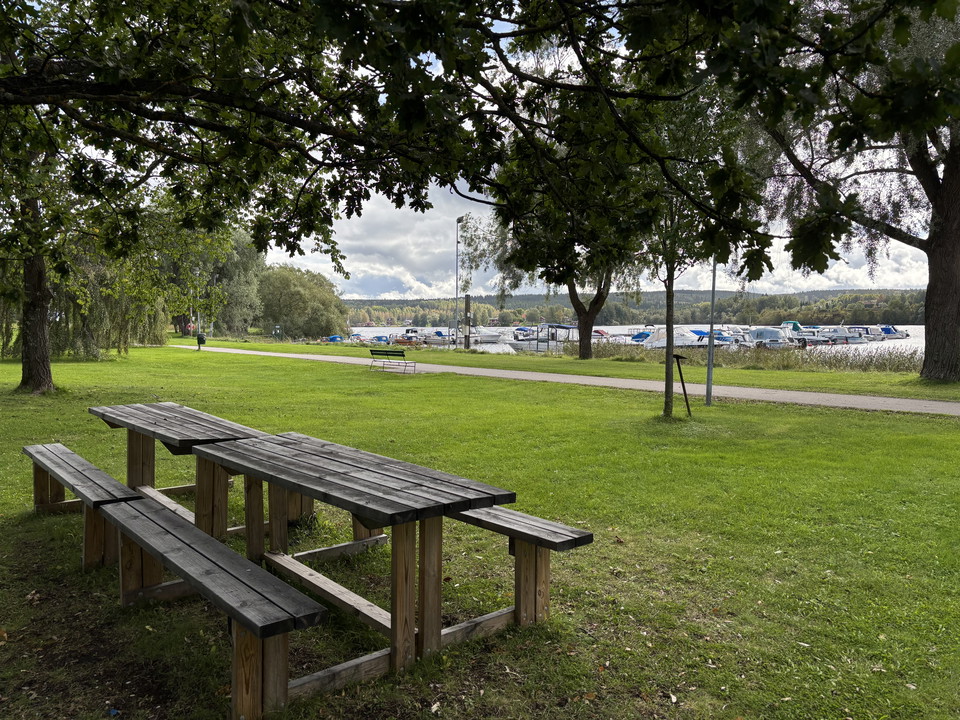 Lummigt under träden och vy över lilla hamn