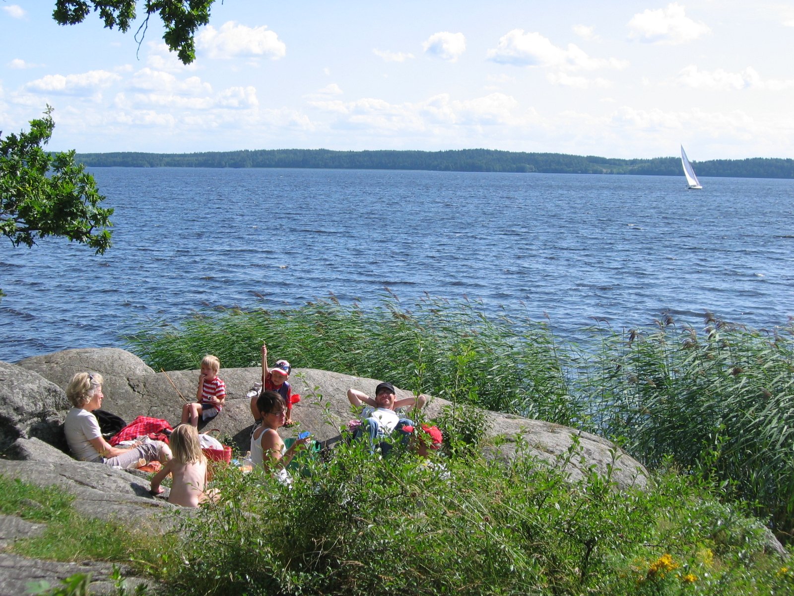 En grupp vuxna och barn njuter av solen på en stenhäll vid vattnet. Runt stenhällen växer det vass och man har god utsikt över vattnet.