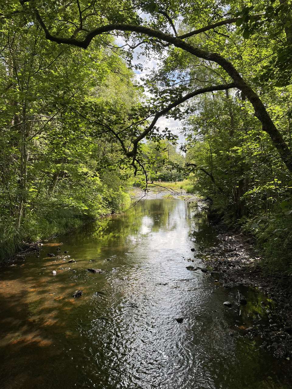 Smedjeån rinner genom Hishult 
