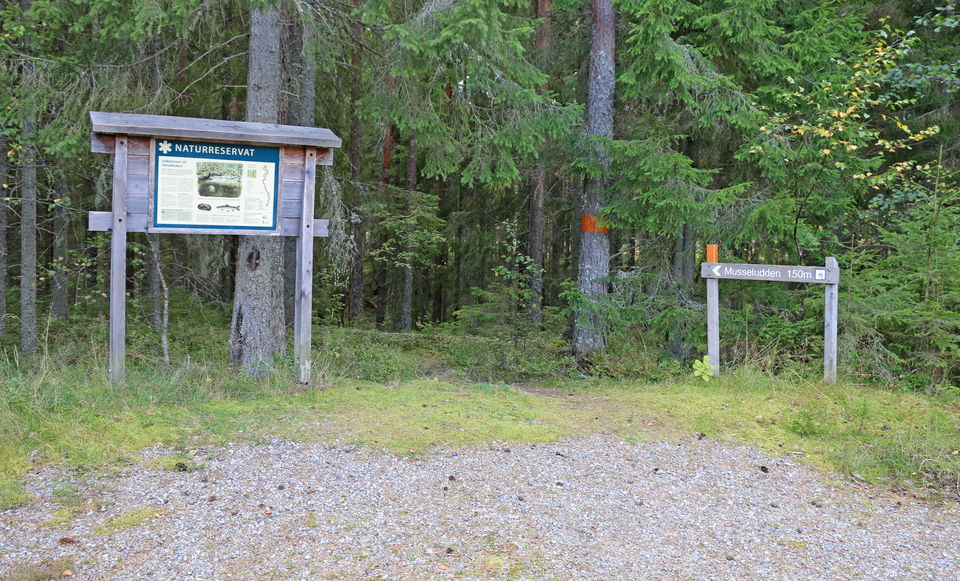 Informationstavla samt en träskylt med texten: Musseludden.
