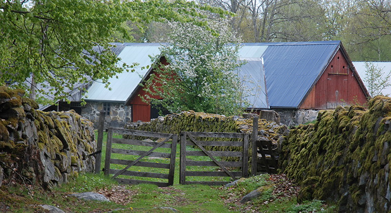 Gårdsmiljö.