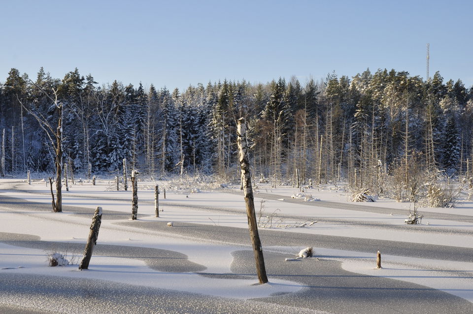 Is och snö ligger på dammen.