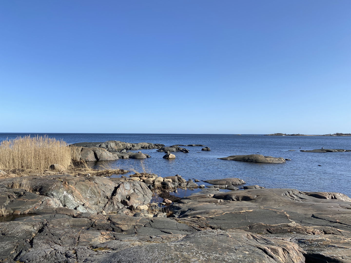 Släta klippor vid havet