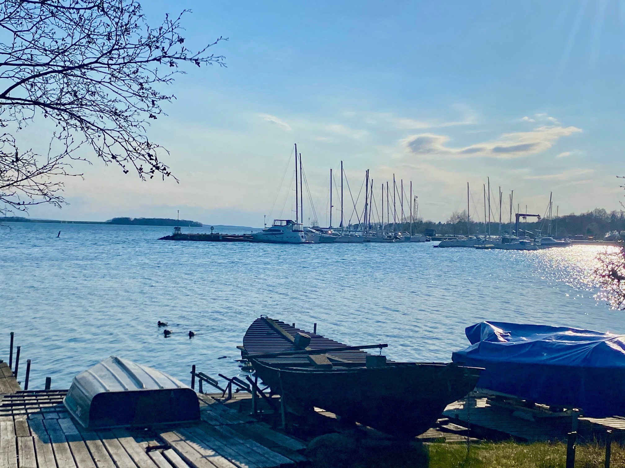 Tegelviken