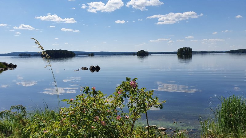 Sjön Åmänningen i Strömsholms kanal
