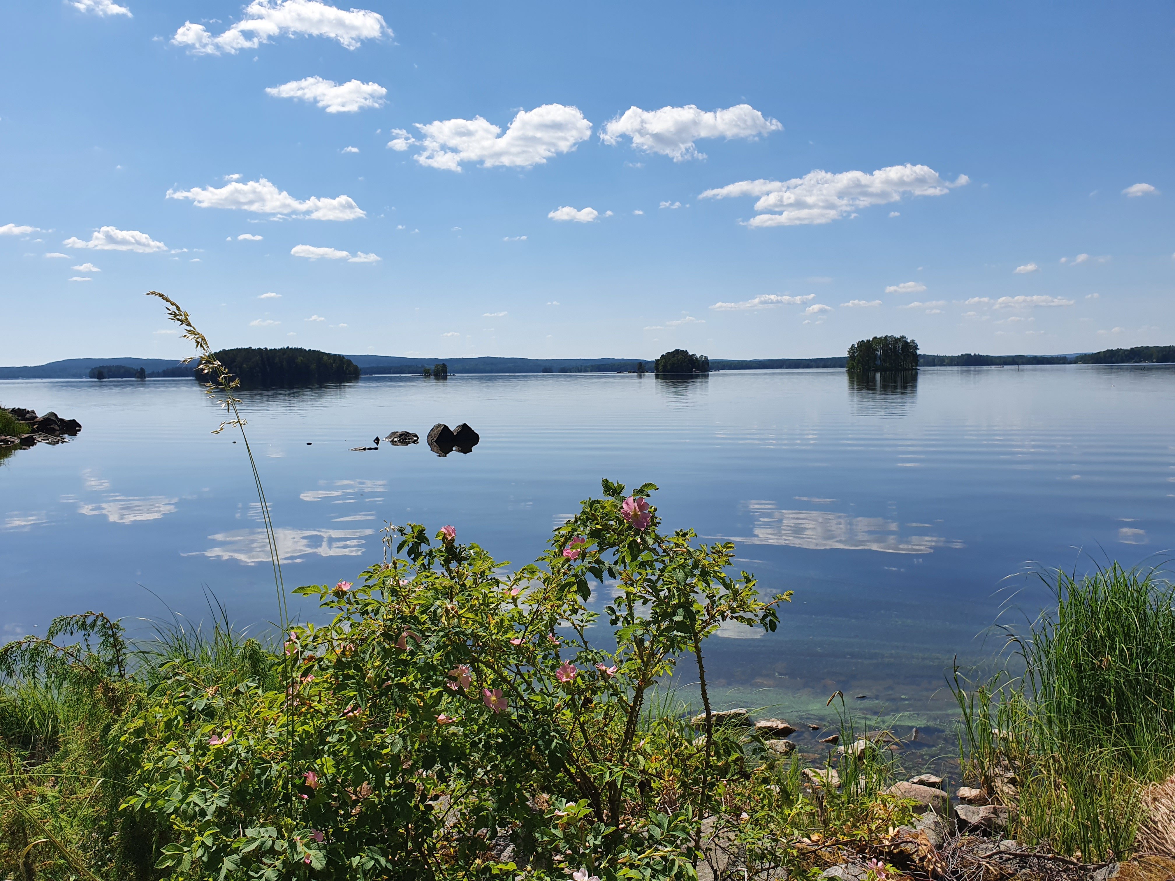 Sjön Åmänningen i Strömsholms kanal