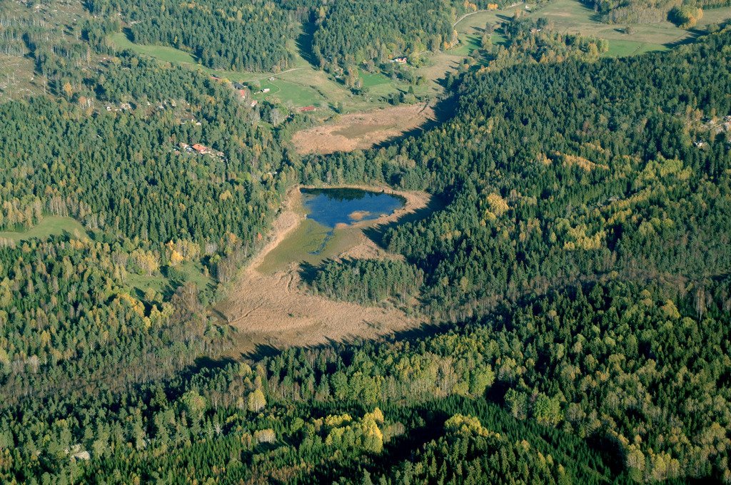Flygfoto över Trehörningsskogen