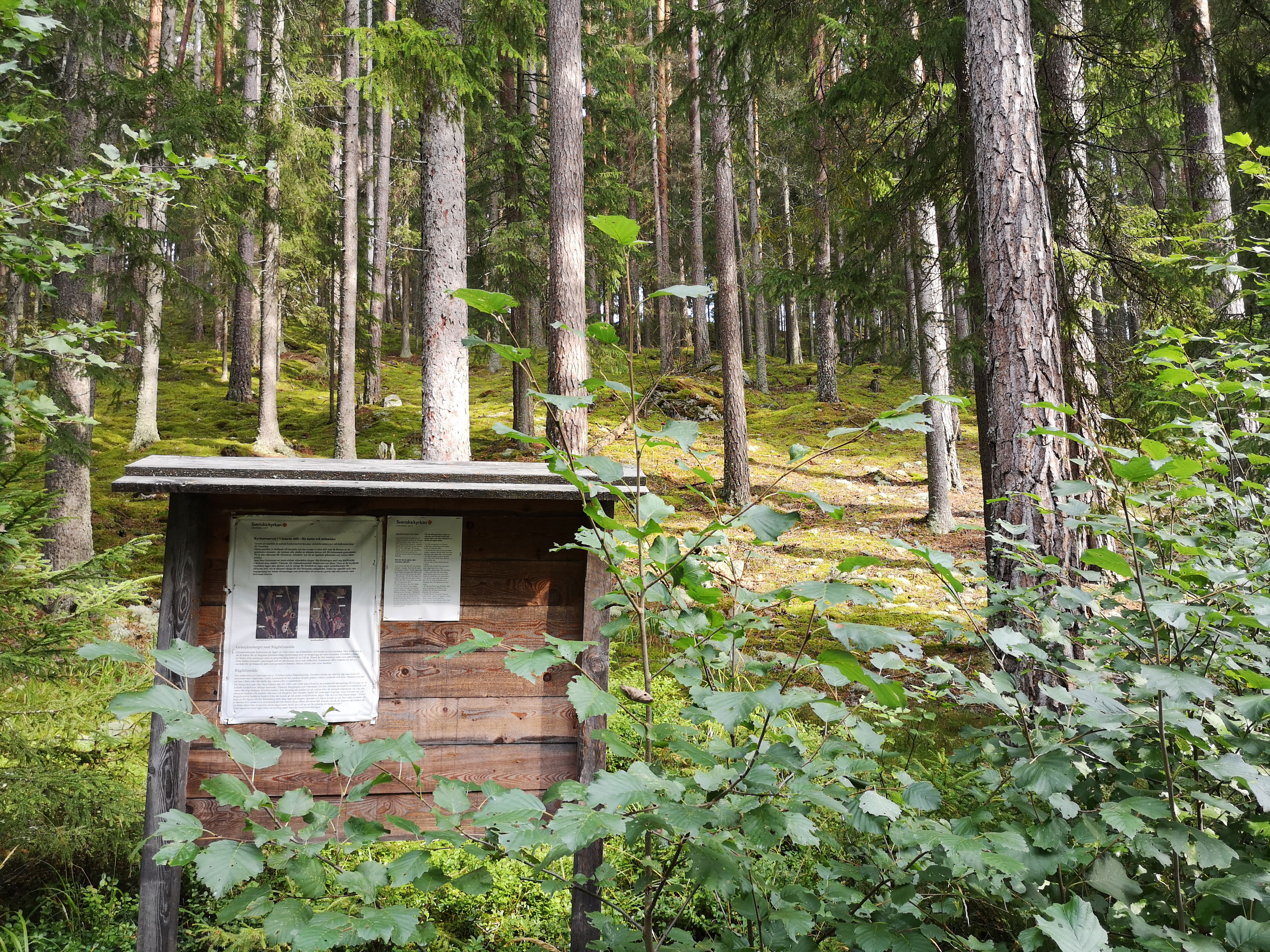 Rågfallssnedda Grästjärnsberget | Naturkartan