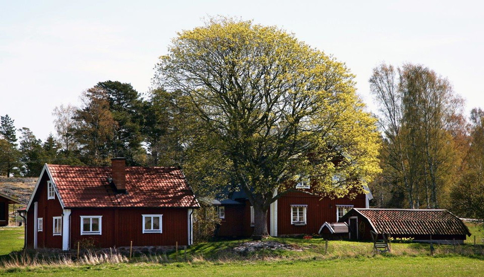 Johan Bjurer
